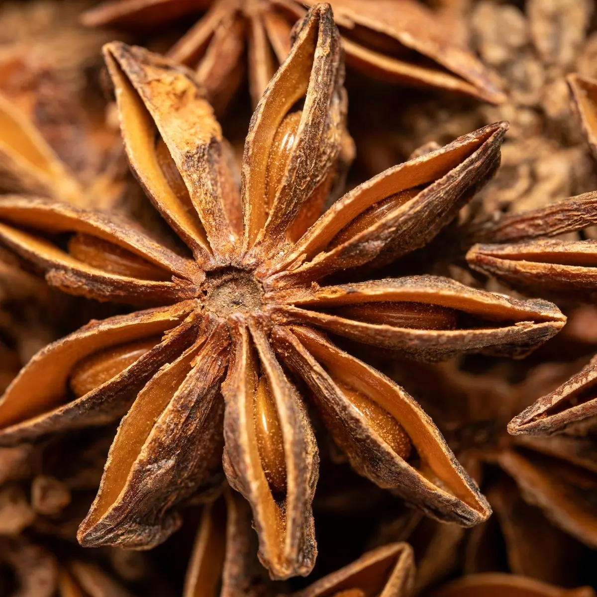 Star anise