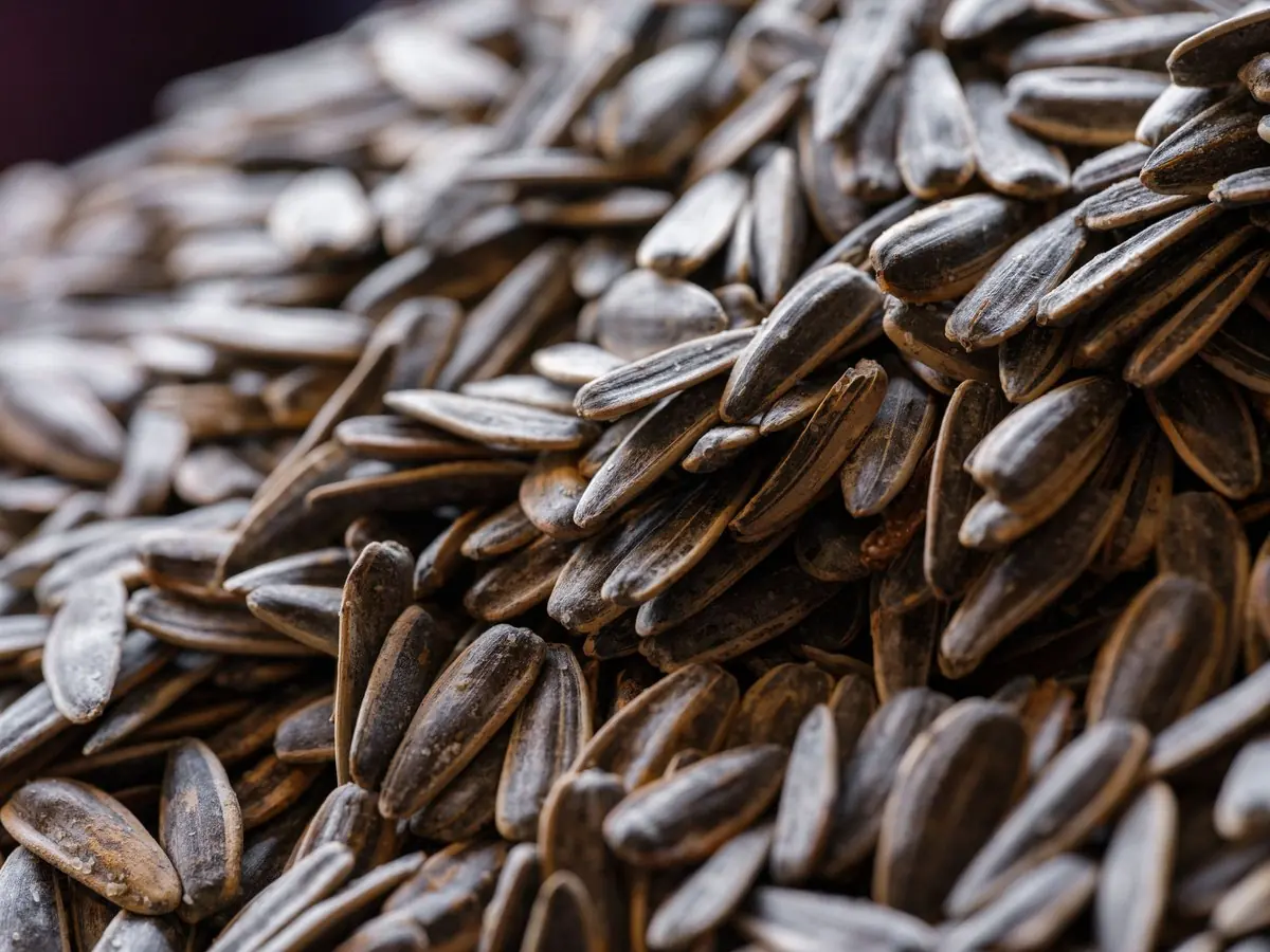 Sunflower seeds