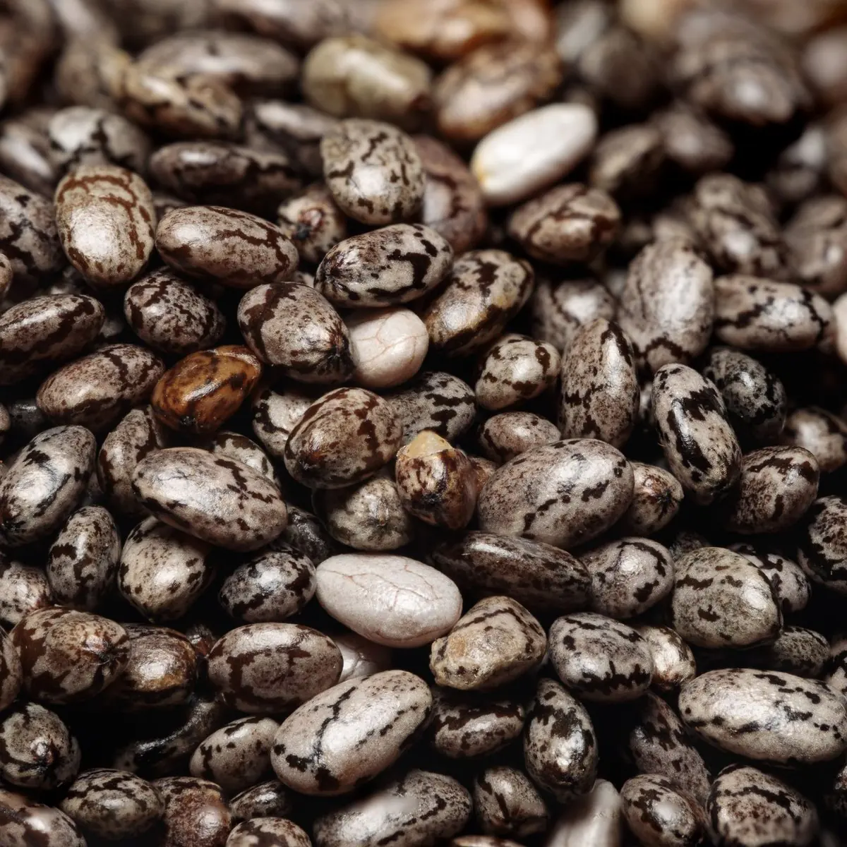 Chia seeds