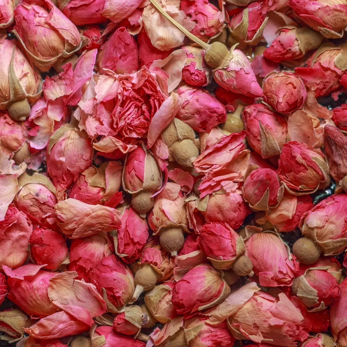 Dried rosebuds