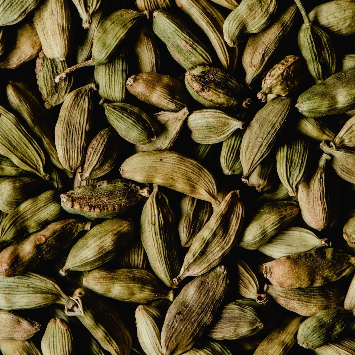 Green cardamom pods