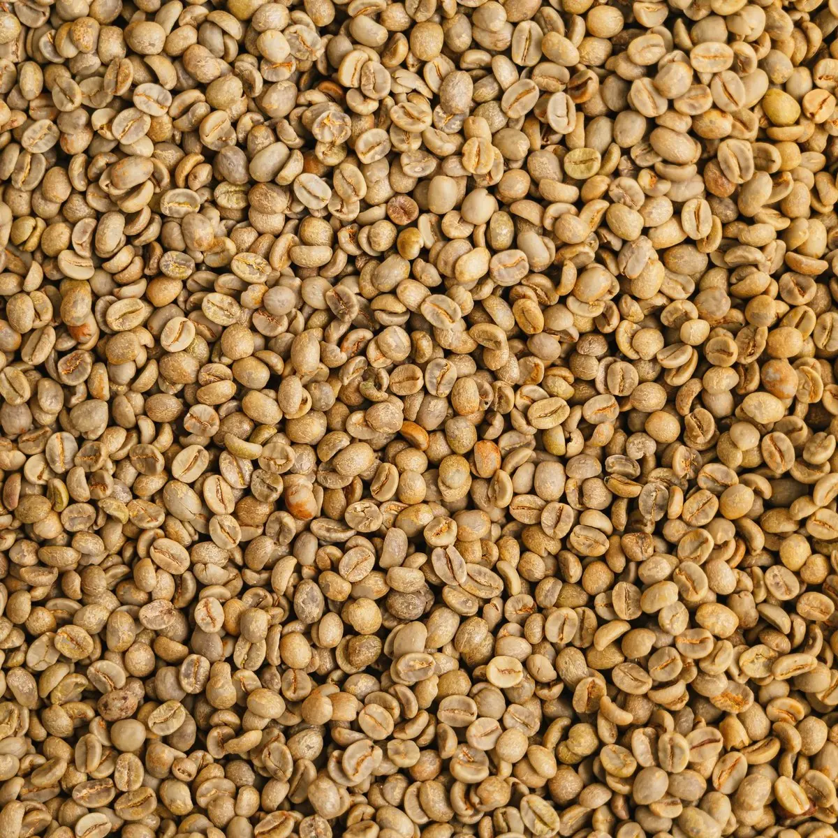 Green coffee beans